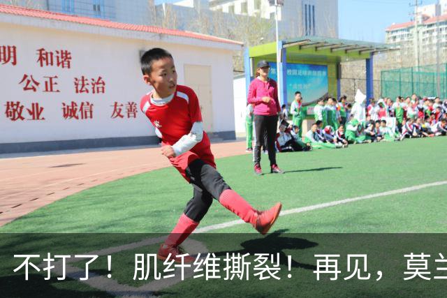 不打了！肌纤维撕裂！再见，莫兰特